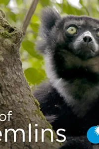 Земля гремлинов (2015) смотреть онлайн